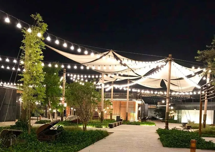 String lights over a garden pathway