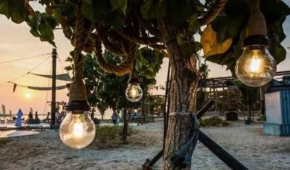 Edison bulbs strung through the trees